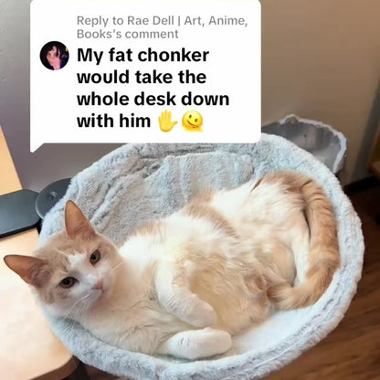 Cat Desk Bed